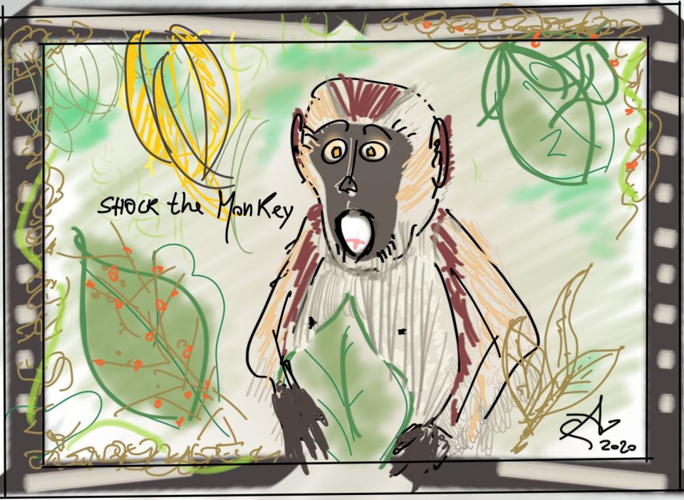 <strong><span style='color:#a9a9a9;font-size:14px;'>Shock the Monkey #0 </span></strong></br>Three overused terms at the pandemic time